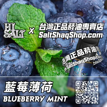 電子煙/菸油 藍莓薄荷味